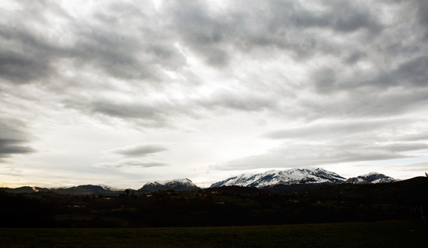 Afijo Torrestio, Asturias, Spain december 2010
Keywords: torrestio