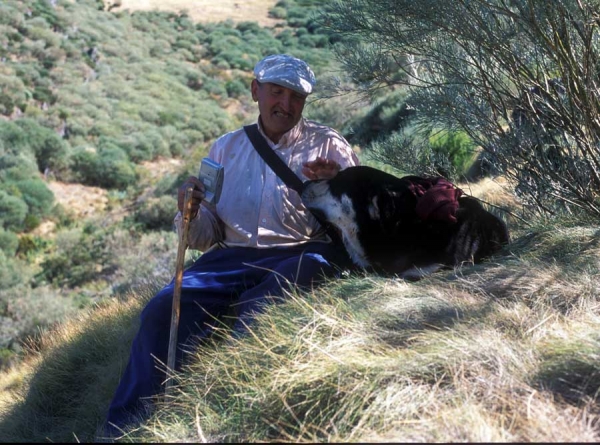 Ismael with male Mastín 12 months old - León, Spain 2001
Photo: Jonas Nielsen - © Copyright. 
Keywords: flock working ganadero ismael