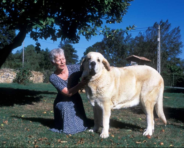 Sally and Paca de Ablanera - 2000
(Nelsón de Ablanera x Ch. Perla de Ablanera) 


Keywords: ablanera