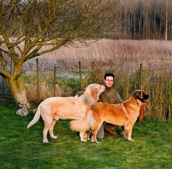 Toro de la Peña Mora & Rosa (Leonberger) - 30.03.2007
Toro: (Ch. Cañon de Fuente Mimbre x Jara de Ablanera)
Born: 28.08.2002
Keywords: pet toro