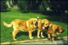 Filename=20.jpg
Filesize=91KiB
Dimensions=606x406
Date added=%490 %14, %2006 20.jpg