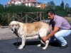 Filename=Image16~0.jpg
Filesize=110KiB
Dimensions=1000x751
Date added=%719 %07, %2010 Image16~0.jpg
