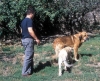 Filename=Image18~0.jpg
Filesize=151KiB
Dimensions=1000x812
Date added=%572 %16, %2010 Image18~0.jpg