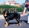 Filename=Image19~0.jpg
Filesize=131KiB
Dimensions=1000x946
Date added=%723 %07, %2010 Image19~0.jpg