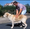 Filename=Image20.jpg
Filesize=121KiB
Dimensions=1000x980
Date added=%722 %07, %2010 Image20.jpg