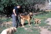 Filename=Image21~0.jpg
Filesize=129KiB
Dimensions=1000x678
Date added=%571 %16, %2010 Image21~0.jpg