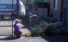 Filename=Image29.jpg
Filesize=83KiB
Dimensions=1000x625
Date added=%717 %07, %2010 Image29.jpg