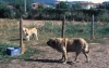 Filename=Image30.jpg
Filesize=111KiB
Dimensions=1000x634
Date added=%718 %07, %2010 Image30.jpg