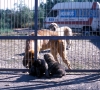 Filename=Image5.jpg
Filesize=130KiB
Dimensions=1000x906
Date added=%715 %07, %2010 Image5.jpg