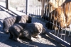 Filename=Image8~0.jpg
Filesize=79KiB
Dimensions=1000x677
Date added=%714 %07, %2010 Image8~0.jpg