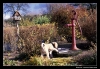 Filename=Toro_0005.jpg
Filesize=140KiB
Dimensions=640x442
Date added=%890 %26, %2006 Toro_0005.jpg