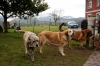 Filename=_MG_2474.jpg
Filesize=421KiB
Dimensions=1024x683
Date added=%466 %02, %2011 _MG_2474.jpg