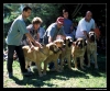 Filename=autocan.jpg
Filesize=64KiB
Dimensions=642x538
Date added=%384 %15, %2006 autocan.jpg