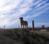Filename=cecilio-sky.jpg
Filesize=56KiB
Dimensions=900x803
Date added=%863 %03, %2007 cecilio-sky.jpg