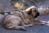 Filename=cecilio3.jpg
Filesize=77KiB
Dimensions=900x608
Date added=%867 %03, %2007 cecilio3.jpg