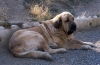 Filename=cecilio4.jpg
Filesize=83KiB
Dimensions=900x585
Date added=%867 %03, %2007 cecilio4.jpg