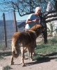 Filename=image17-sally.jpg
Filesize=133KiB
Dimensions=824x1000
Date added=%573 %16, %2010 image17-sally.jpg