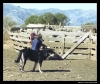 Filename=ismael.jpg
Filesize=51KiB
Dimensions=642x544
Date added=%436 %14, %2006 ismael.jpg