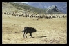 Filename=ismael5.jpg
Filesize=61KiB
Dimensions=642x436
Date added=%059 %11, %2006 ismael5.jpg