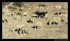 Filename=ismael6.jpg
Filesize=60KiB
Dimensions=642x380
Date added=%439 %14, %2006 ismael6.jpg