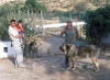 Filename=juan-cecilio.jpg
Filesize=106KiB
Dimensions=900x657
Date added=%871 %03, %2007 juan-cecilio.jpg