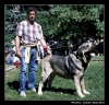 Filename=juglar.jpg
Filesize=80KiB
Dimensions=442x428
Date added=%502 %14, %2006 juglar.jpg