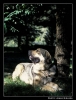 Filename=juglar03b.jpg
Filesize=61KiB
Dimensions=414x542
Date added=%781 %14, %2006 juglar03b.jpg