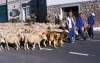 Filename=mastines-villafeliz-a.jpg
Filesize=81KiB
Dimensions=900x573
Date added=%829 %24, %2008 mastines-villafeliz-a.jpg