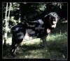 Filename=ulises_de_babia.jpg
Filesize=93KiB
Dimensions=542x478
Date added=%775 %14, %2006 ulises_de_babia.jpg