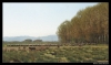 Filename=working_mastin_leon.jpg
Filesize=41KiB
Dimensions=842x500
Date added=%461 %14, %2006 working_mastin_leon.jpg