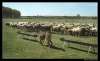 Filename=working_mastines_leon.jpg
Filesize=64KiB
Dimensions=842x522
Date added=%463 %14, %2006 working_mastines_leon.jpg