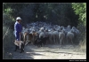 Filename=working_sena03.jpg
Filesize=46KiB
Dimensions=642x452
Date added=%922 %13, %2006 working_sena03.jpg