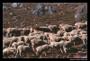 Filename=working_sena11.jpg
Filesize=64KiB
Dimensions=642x442
Date added=%946 %13, %2006 working_sena11.jpg