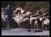 Filename=working_sena14.jpg
Filesize=49KiB
Dimensions=642x470
Date added=%945 %13, %2006 working_sena14.jpg