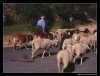 Filename=working_sena18.jpg
Filesize=49KiB
Dimensions=642x490
Date added=%990 %13, %2006 working_sena18.jpg