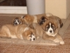 Filename=5tka.JPG
Filesize=314KiB
Dimensions=1024x768
Date added=%453 %20, %2009 5tka.JPG