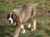 Filename=Carlos_Temudzin_2.JPG
Filesize=366KiB
Dimensions=1024x768
Date added=%742 %09, %2009 Carlos_Temudzin_2.JPG
