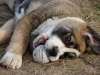 Filename=Carlos_Temudzin_4.JPG
Filesize=365KiB
Dimensions=1024x768
Date added=%632 %20, %2009 Carlos_Temudzin_4.JPG