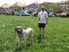 Filename=DSC01340_mail.JPG
Filesize=372KiB
Dimensions=1024x768
Date added=%445 %02, %2007 DSC01340_mail.JPG