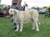 Filename=PINTA_EXHIBICION.jpg
Filesize=109KiB
Dimensions=600x450
Date added=%382 %11, %2009 PINTA_EXHIBICION.jpg