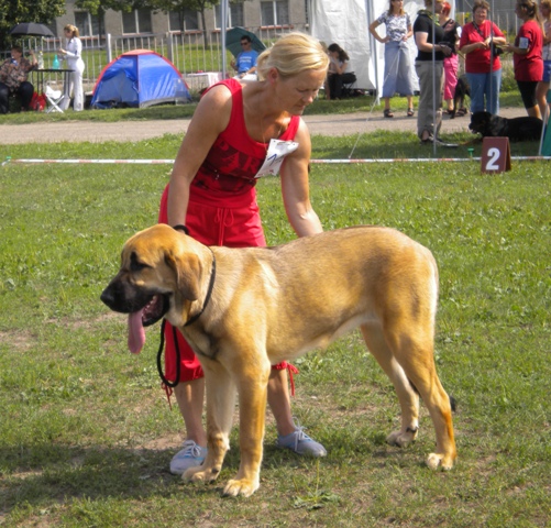 Winola Tornado Erben
Winola - 7 months old
