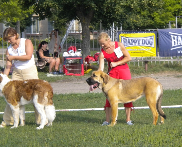 Winola Tornado Erben
Winola - 7 months old
