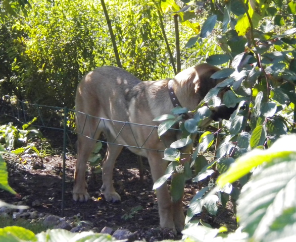 Winola Tornado Erben
Winola 8 months
