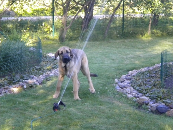 Winola Tornado Erben
I love the water 
