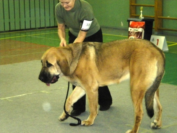 Winola Tornado Erben
Winola - 10 months old
