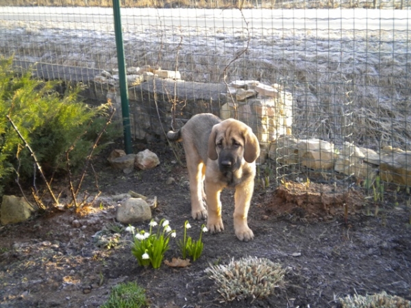 Winola Tornado Erben
New gardener
