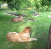 Filename=01.jpg
Filesize=186KiB
Dimensions=491x480
Date added=%895 %20, %2008 01.jpg