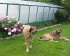 Filename=03.jpg
Filesize=173KiB
Dimensions=600x480
Date added=%894 %20, %2008 03.jpg