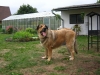Filename=0369.JPG
Filesize=424KiB
Dimensions=932x704
Date added=%515 %14, %2006 0369.JPG