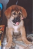 Filename=03_2004_03.jpg
Filesize=27KiB
Dimensions=299x448
Date added=%599 %18, %2006 03_2004_03.jpg